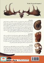 تاریخچه پیدایش حیات - تصویر 2