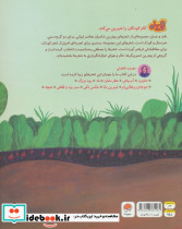 جوجه ی پر طلایی ام - تصویر 2