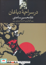 در سراچه دباغان