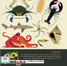 دنیای رنگارنگ اختاپوس ها - تصویر 2