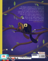 دنیای رنگارنگ میمون ها - تصویر 4
