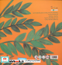 چیک چیکو - تصویر 2