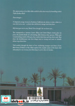 EVIDENCE OF THE AFFAIR - تصویر 2