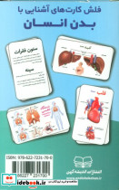 فلش کارت آموزشی آشنایی با بدن انسان - تصویر 2