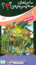 آتش در راکی بیچ