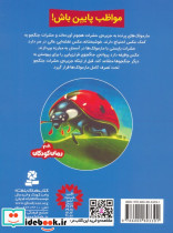 حشرات جنگجو 9 - تصویر 2
