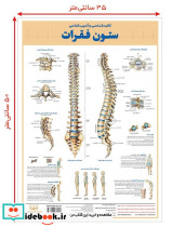 کالبد شناسی و آسیب شناسی ستون فقرات 50*35