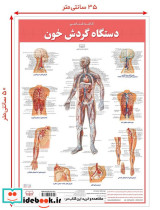 کالبد شناسی دستگاه گردش خون 50*35