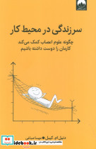 سرزندگی در محیط کار