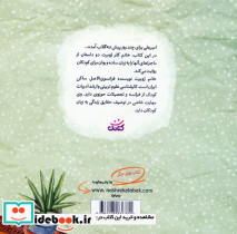 ماجراهای امیرعلی و ننه گلاب 2 - تصویر 2