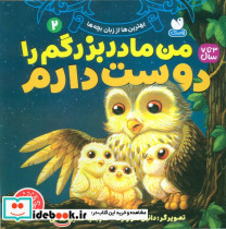 من مادربزرگم را دوست دارم ۲
