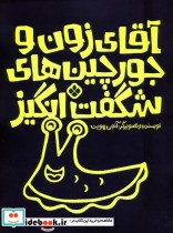 آقای زون و جورچین های شگفت انگیز منگنه ای شمیز رحلی پنجره