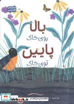 بالا روی خاک پایین توی خاک