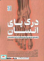 درک پای انسان