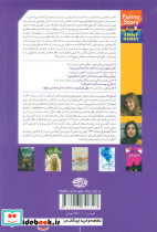 ماجرای جالب دافنه - تصویر 2