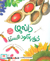 دانه ها خواب آلود هستند