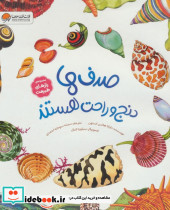 صدف ها دنج و راحت هستند