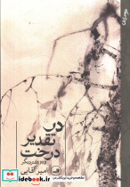 در تقدیر درخت