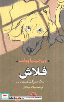فلاش یک سرگذشت