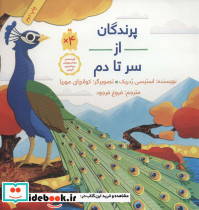 پرندگان از سر تا دم