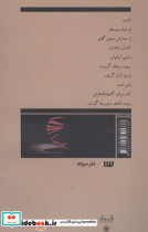 طاق های ضربی مغول ها - تصویر 2