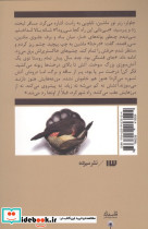 در حنا - تصویر 2