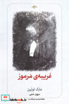 غریبه ی مرموز شمیز رقعی دیدآور