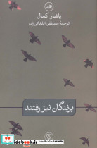 پرندگان نیز رفتند