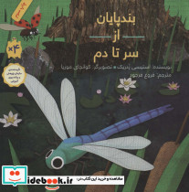 بندپایان از سر تا دم