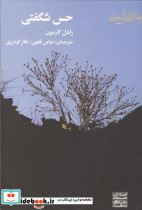 حس شگفتی - تصویر 2