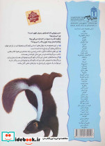 چراهای شگفت انگیز حواس پنج گانه - تصویر 2