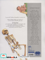 بدن انسان از چراهای شگفت انگیز - تصویر 2