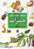 چراهای شگفت انگیز حشرات پاسخ