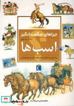چراهای شگفت انگیز اسب ها