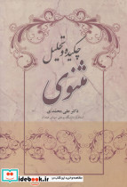 چکیده و تحلیل مثنوی