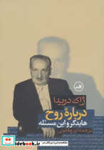 درباره ی روح هایدگر و این مسئله