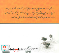 آرامش گنجشک ها - تصویر 2