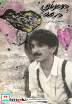دو مرغابی در مه نشر دارینوش قطع رقعی