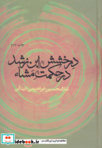 درخشش ابن رشد در حکمت مشاء