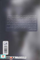 ماه نو و مرغان آواره - تصویر 2
