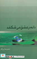 دانه در عشق می شکفد
