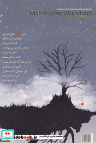 ماه پشت ابر ماند - تصویر 2