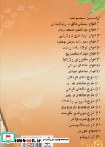 انواع کباب کتلت شامی و کوکو نشر تهران - تصویر 2