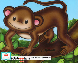 میمون 