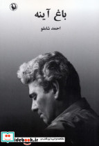 باغ آینه