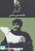 گاو