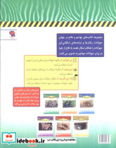 استتار ماهرانه - تصویر 2