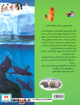 دانستنیهایی درباره حیوانات قطبی - تصویر 2