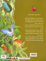 دانستنیهایی درباره حشرات - تصویر 2