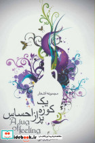 لیلی عاشق